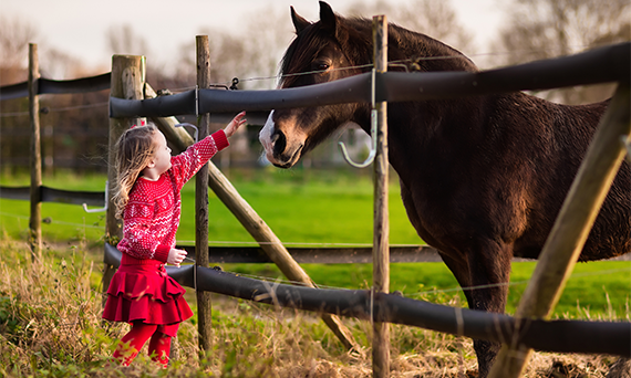 Horse And A Little Girl